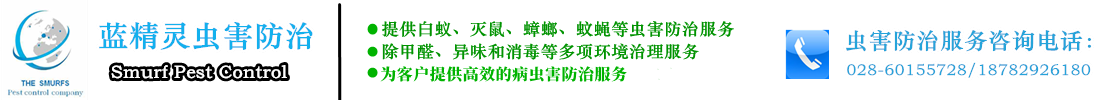 成都灭鼠公司哪家好、成都灭白蚁公司 成都蓝精灵有害生物防治有限公司